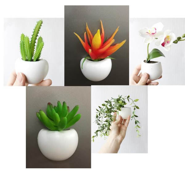 Cute Plant Fridge Magnets Succulent Cactus Orchid Refridgerator Decorations