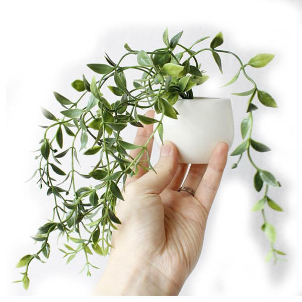 Cute Plant Fridge Magnets Succulent Cactus Orchid Refridgerator Decorations Refrigerator Magnets