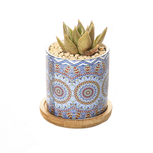 Cute Mini Mandala Succulent Nordic Colour Pot Baskets Pots Window Boxes