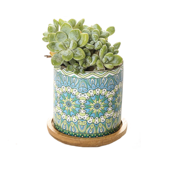 Cute Mini Mandala Succulent Nordic Colour Pot Baskets Pots Window Boxes