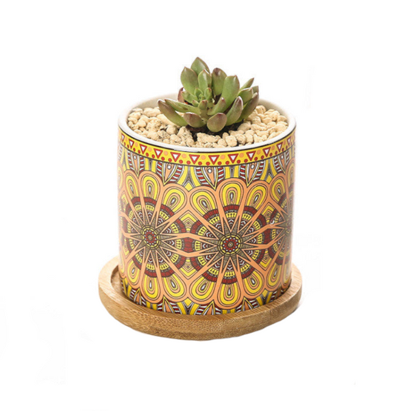 Cute Mini Mandala Succulent Nordic Colour Pot Baskets Pots Window Boxes