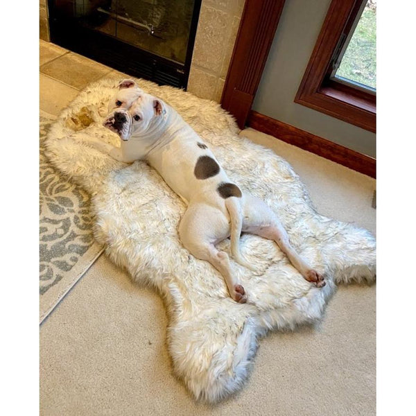 The Ortho Vegan Fur Dog Bed With Memory Foam Pet Beds