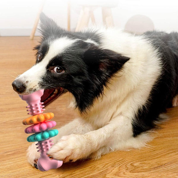 Dog Chew Toy Bone Type Teeth Cleaning Toys Chewing Bite Resistant Teething