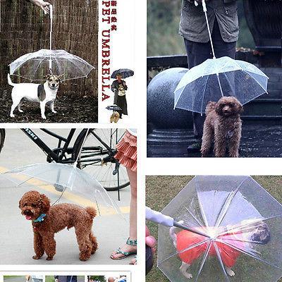 Transparent Pet Umbrella Built In Leash Leads & Head Collars