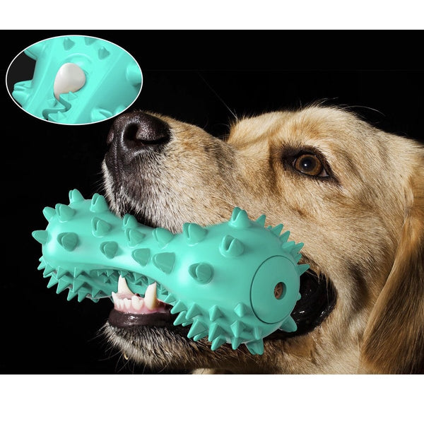 Dental Dumbbell Toothbrush Dog Toy