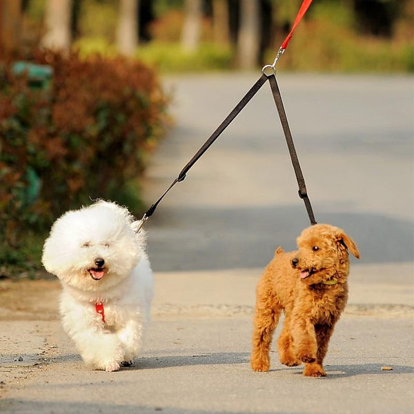 Red Double Dog Leash Connector