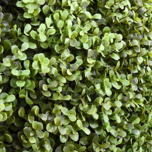 Deluxe Portable Buxus Hedges Uv Stabilised 100Cm Long X High