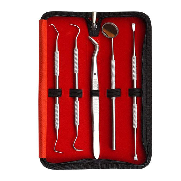 Oral Care Dental Tools 5 Piece Tooth Cleaning Stainless Steel Molar Dentist Dog Tweezers Set Oral Hygiene