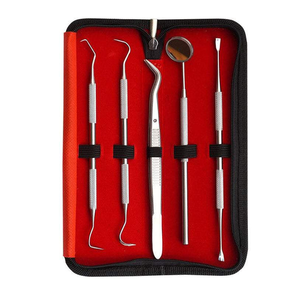 Oral Care Dental Tools 5 Piece Tooth Cleaning Stainless Steel Molar Dentist Home Dog Tweezers Set