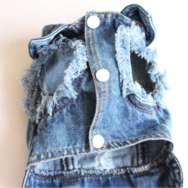 Designer Denim Dog Clothes Small Jacket Pet Clothing Dog Clothing & Shoes