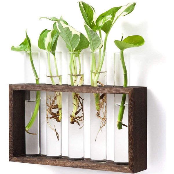 Desktop Glass Terrarium Wall Hanging Planter With 5 Modern Test Tubes For Home Office Decoration