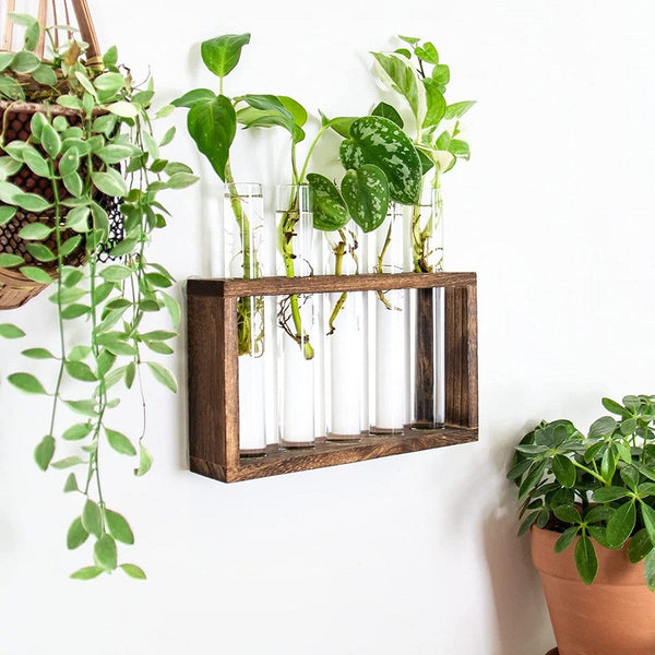 Desktop Glass Terrarium Wall Hanging Planter With 5 Modern Test Tubes For Home Office Decoration
