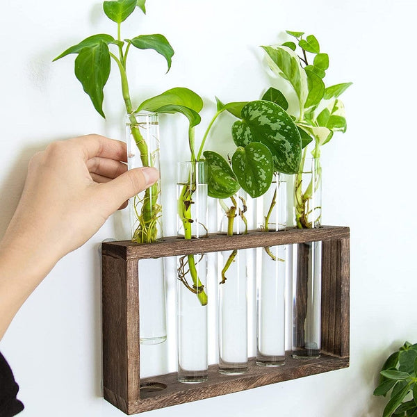 Vases Desktop Glass Terrarium Wall Hanging Planter With 5 Modern Test Tubes