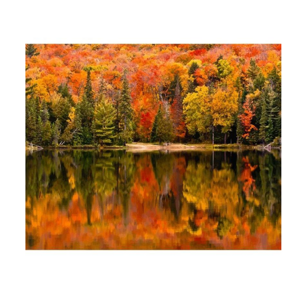 Diy Paint By Numbers Canvas Art Handpainted Dcor Craft Kit Paint By Numbers Kits