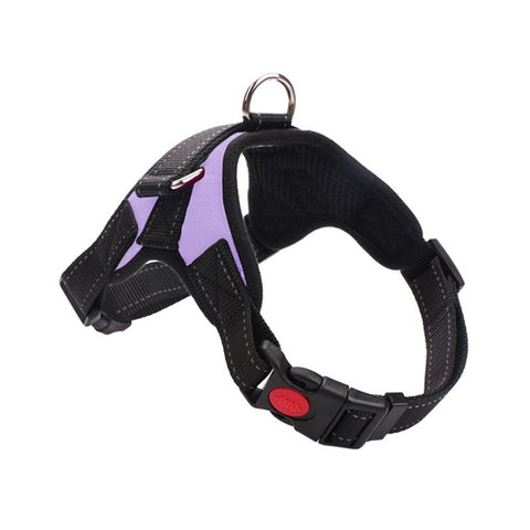 Dog Chain Explosion Proof Breasted Strap For Walking Leash Purple Harnesses