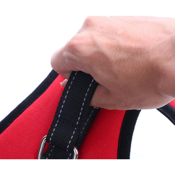 Dog Chain Explosion Proof Breasted Strap For Walking Leash Purple Harnesses