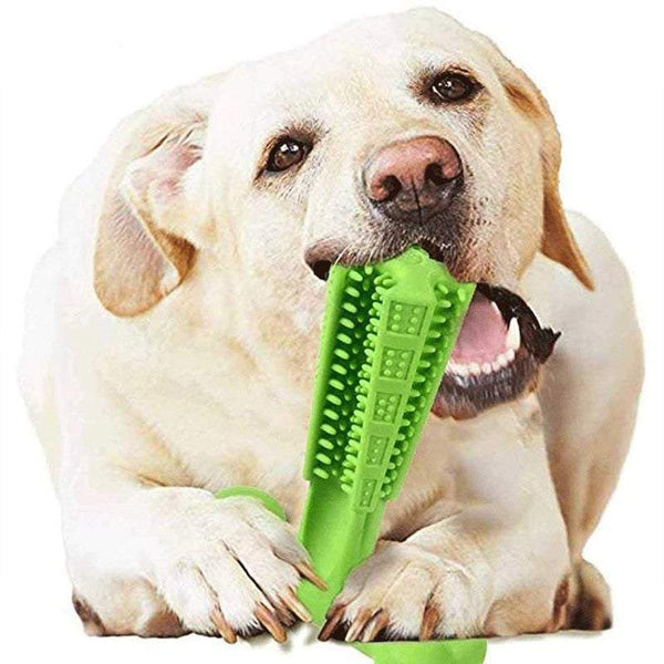 Dog Health Chew Toy Toothbrush Pet Cleaning Stick Dental Care Oral Hygiene