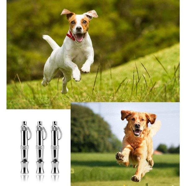 Pet Training Dog Whistle To Stop Barking Control For Dogs Deterrent Whistles