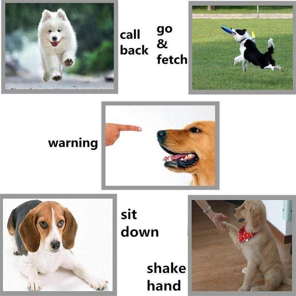 Pet Training Dog Whistle To Stop Barking Control For Dogs Deterrent Whistles