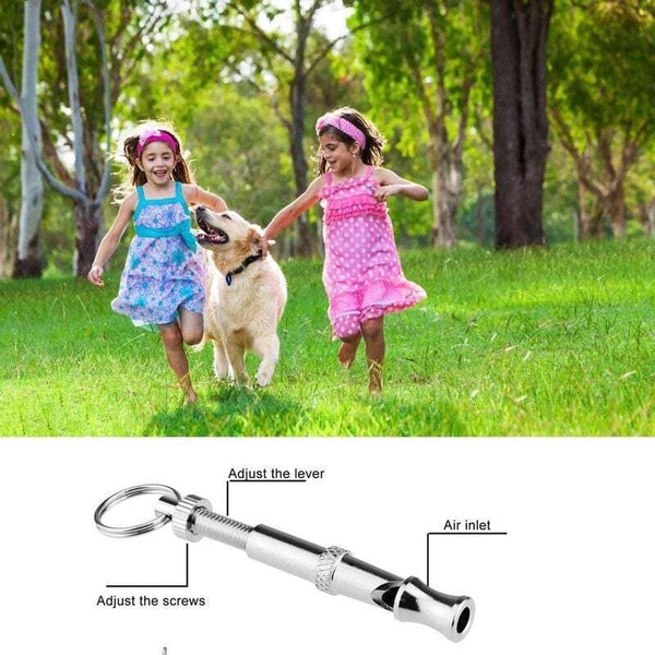 Pet Training Dog Whistle To Stop Barking Control For Dogs Deterrent Whistles