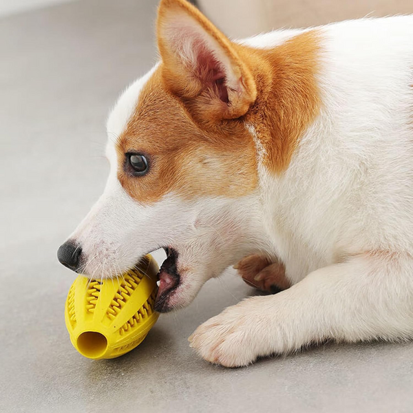 Dog Chew Toy Rubber Ball Treat Dispenser Dental Cleaning Training Play Yellow Spherical (Large) Dog Toys
