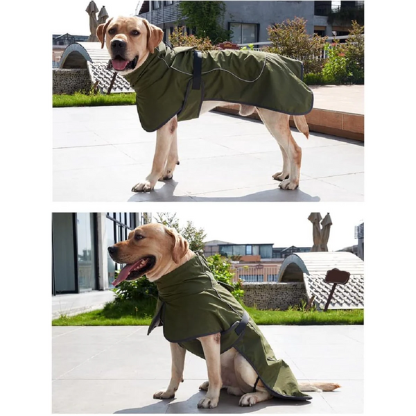 Dog Raincoat Jacket Waterproof Winter Coat Windproof Reflective Strip Green Size M Perfect For Small And Medium Dogs Dog Clothing & Shoes
