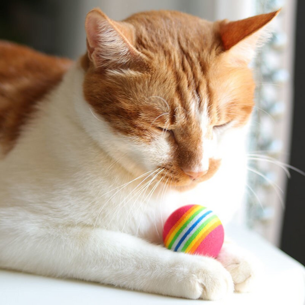 Dog Supplies 3Pcs Pet Cat Play Balls Foam Rainbow