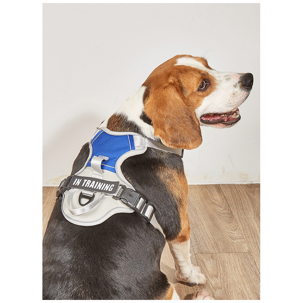 Dog Harness No Pull Outdoor Walking Breathable Reflective Small Harnesses