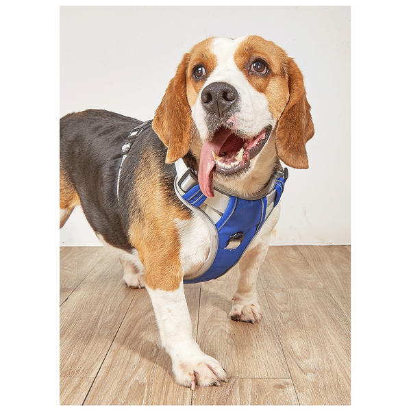 Dog Harness No Pull Outdoor Walking Breathable Reflective Small Harnesses