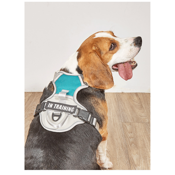 Dog Harness No Pull Outdoor Walking Breathable Reflective Small Harnesses