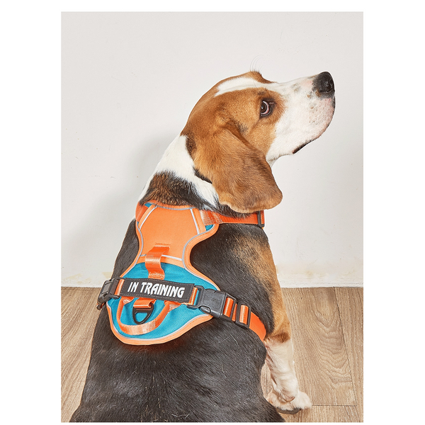 Dog Harness No Pull Outdoor Walking Breathable Reflective Small Harnesses