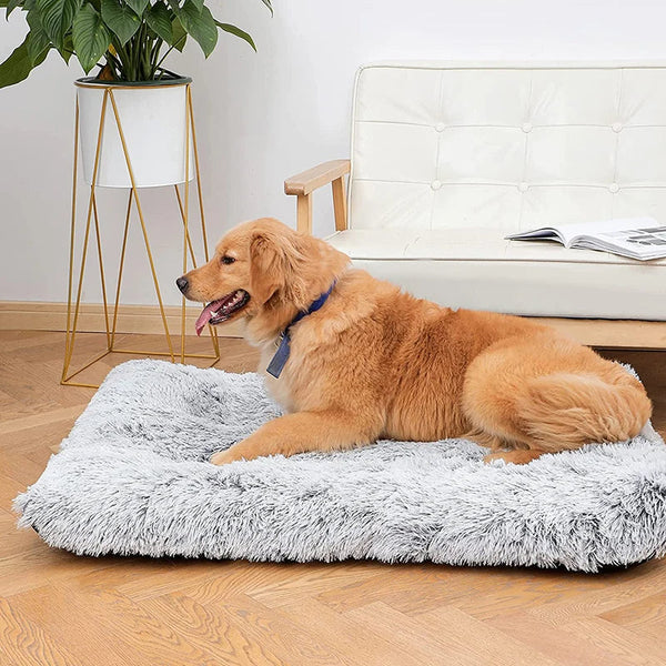 Pet Bed Light Apricot Removable Calming Soft Plush Cushion Mat Pet Beds