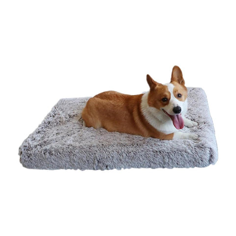 Pet Bed Coffee White Removable Calming Soft Plush Cushion Mat Pet Beds
