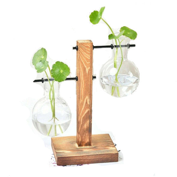 Duo Terrarium Vase Indoor Plants Decor Vases
