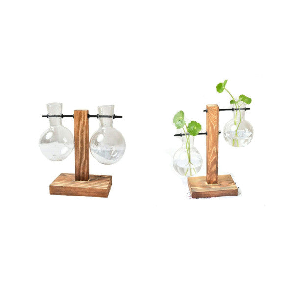 Duo Terrarium Vase Indoor Plants Decor Vases