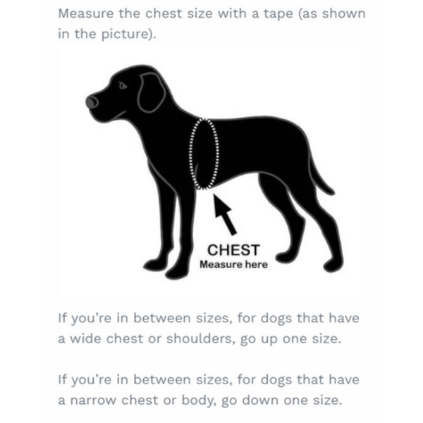 Easy Snap Reflective Dog Harness With Custom Id Patch Harnesses