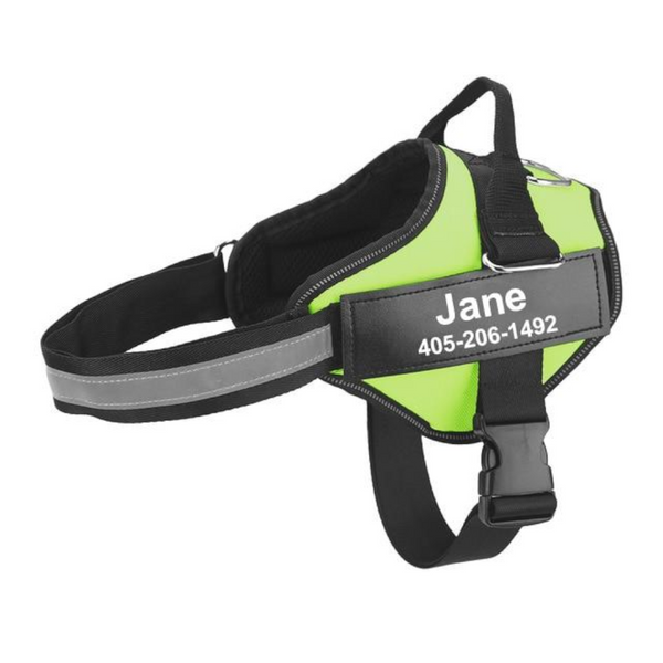 Easy Snap Reflective Dog Harness With Custom Id Patch Harnesses