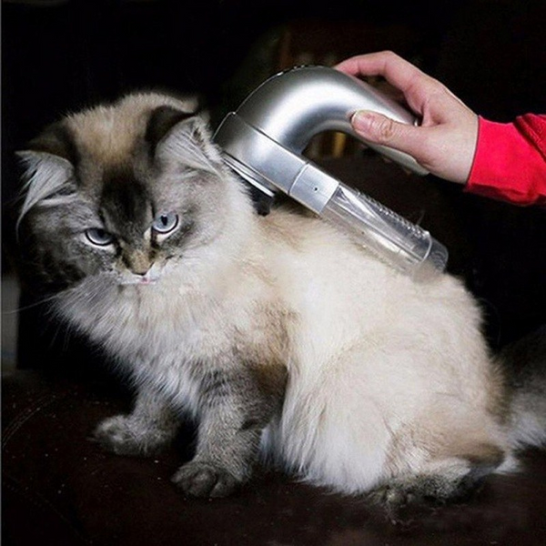 Electric Pet Dog Hair Vacuum Removing Machine Dog Grooming