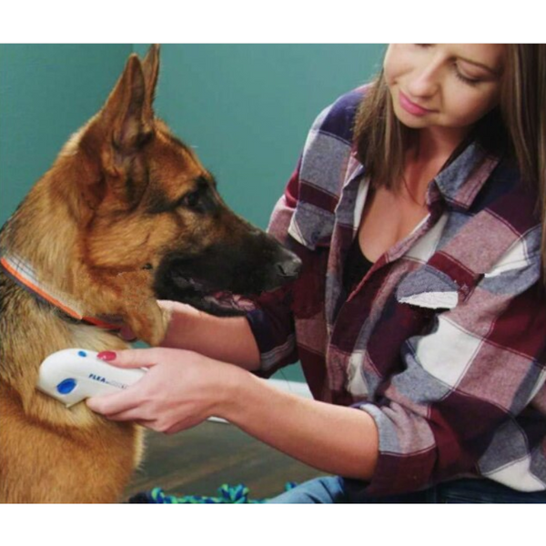 Electronic Pet Cat Dog Comb Fur Brush Flea Lice Controller Killer Remover