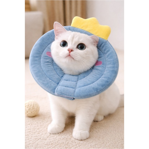 Elizabeth Circle Cat Sterilization Collar Anti Licking Pet Scarf For And Dog Dinosaur M Dog Collars