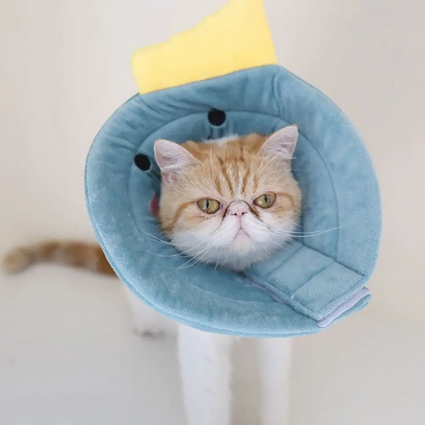 Elizabeth Circle Cat Sterilization Collar Anti Licking Pet Scarf For And Dog Dinosaur M Dog Collars