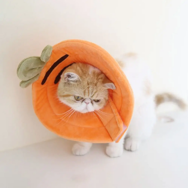 Elizabeth Circle Cat Sterilization Collar Anti Licking Pet Scarf For And Dog Orange Carrot Dog Collars
