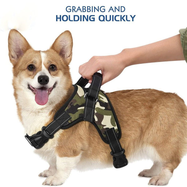 No Pull Soft Adjustable Dog Harness