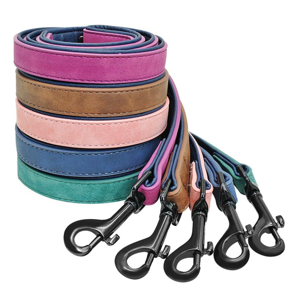 Vibrant Colours Personalized Dog Collars Leashes Leads & Head Collars