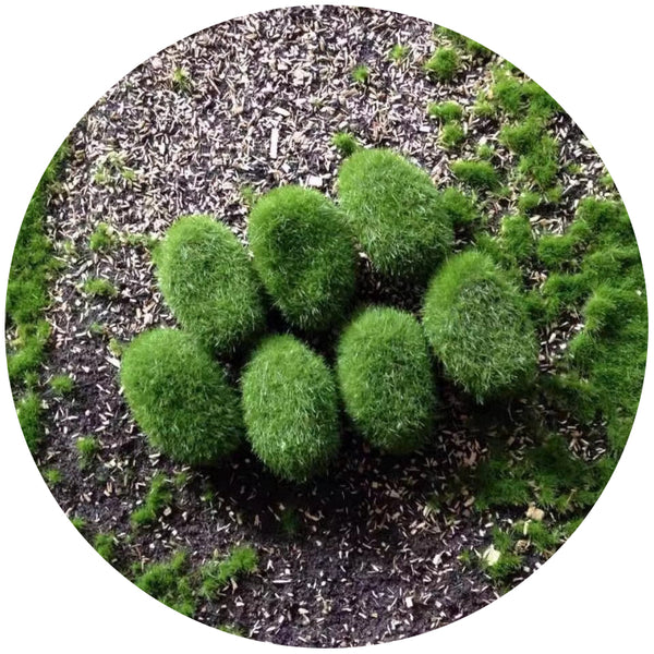 Mossy Stone Artificial Green Rock Flower Arrangement Material Artificial Plants