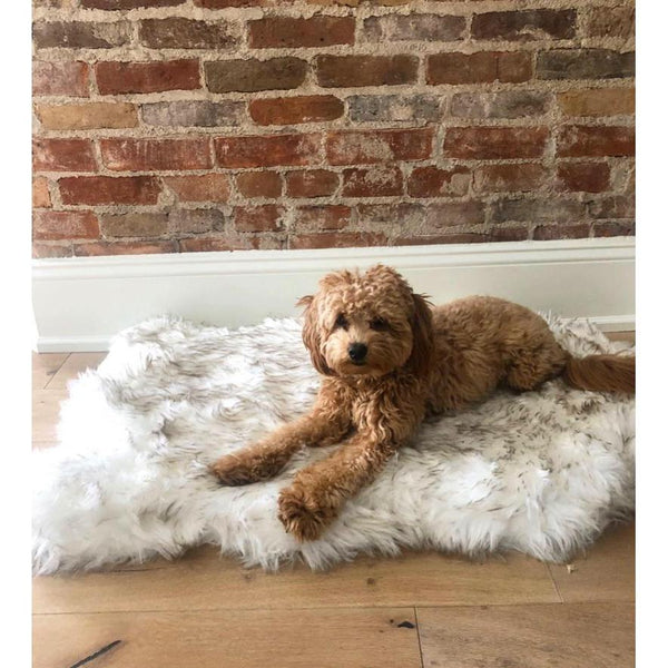 The Ortho Vegan Fur Dog Bed With Memory Foam Pet Beds