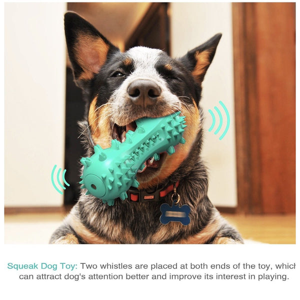 Dental Dumbbell Toothbrush Dog Toy Dog Toys