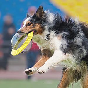 Ufo Flying Frisbee Feeder For Dogs Pet Toy