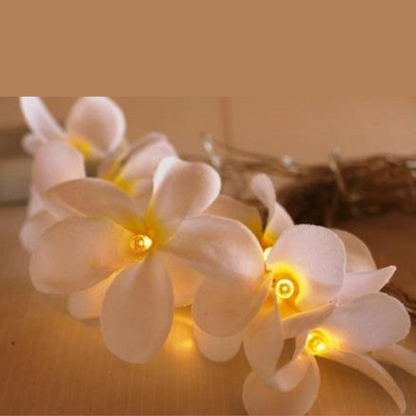 1 Set Of 20 Led White Frangipani Flower Battery String Lights Christmas Gift Home Wedding Beach Party Decoration Outdoor Table Centrepiece