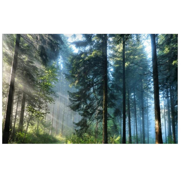 Tapestries Beautiful Printed Natural Forest Large Wall Tapestry Bohemian Art